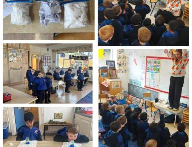 MixCollage-24-Nov-2025-02-51-PM-5777_original