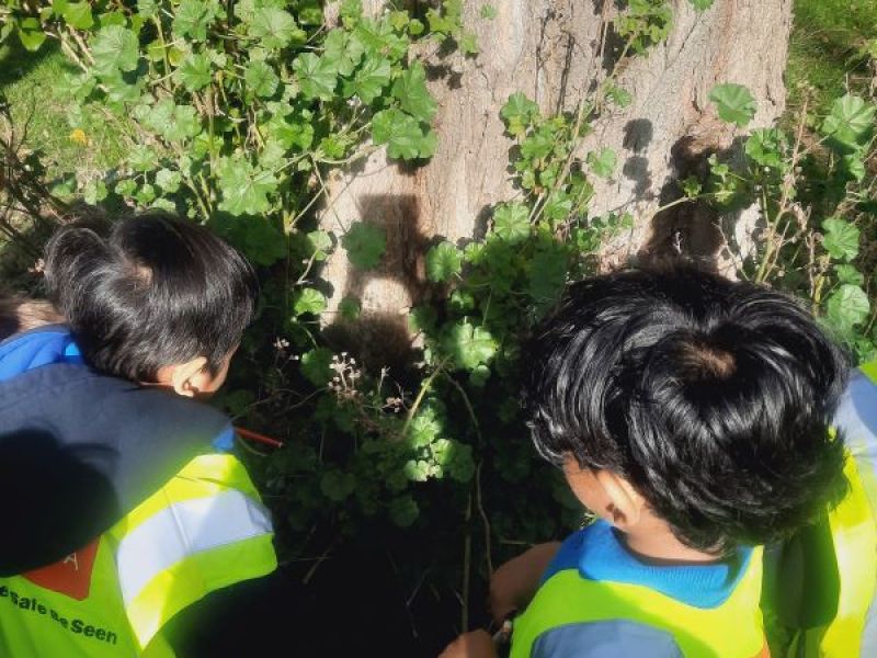 'We found a cobweb...and here comes the spider!'