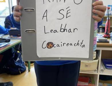 The Cookbook's cover